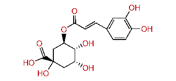 Chlorogenic acid